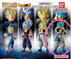 HGドラゴンボール02 超サイヤ人ゴッド超サイヤ人 ゴジータ