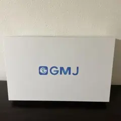 GM-JAPAN ノートパソコン