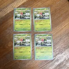 シェイミ 4枚セット ポケモンカード