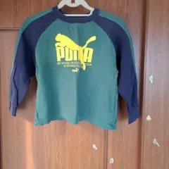 PUMA トレーナー グリーン ネイビー