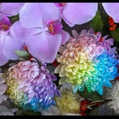 Faerie Health様 リクエスト 3点 まとめ商品