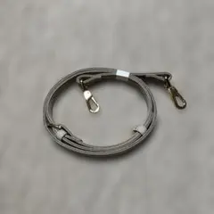 Item thumbnail for item 04842020-f6de-4b38-93f8-67e3295c700e