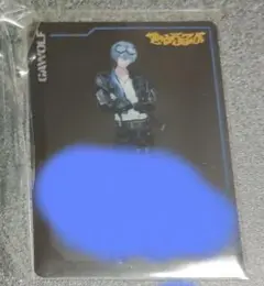 小柳ロウ　カード　ブレスレット　チェキ　ぎゃうるふ