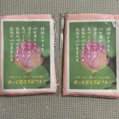 ピンク　台拭き　2枚セット　まとめ売り　洗剤いらず　乾拭き　水拭き　キッチン