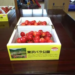パック詰め完熟 朝もぎたて さくらんぼのサムネイル