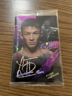 Item thumbnail for item 114d784e-59ab-4316-a99c-a18e2a1dc040