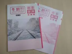 2026年最新】小学 練成テキストの人気アイテム - メルカリ