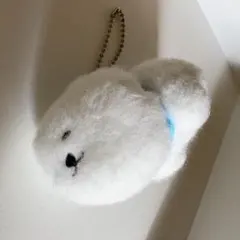 Item thumbnail for item bf434c31-7006-473c-9e37-7db57ed401e5