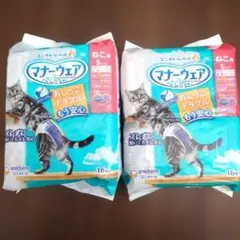 Item thumbnail for item ac41f658-c7cb-47af-a4f8-1c4b0e8fb2cf