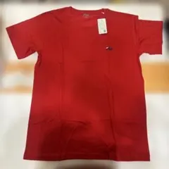 Item thumbnail for item f03066cc-a021-4815-af47-51e1f803a5fe