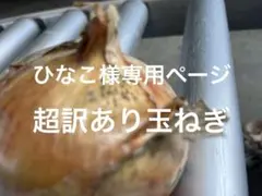 ひなこ様専用ページです。あわじ島玉ねぎ超訳あり！