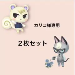 カリコ様専用　どうぶつの森　amiiboカード　２枚セット