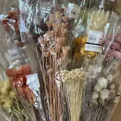 ドライフラワー花材セット
