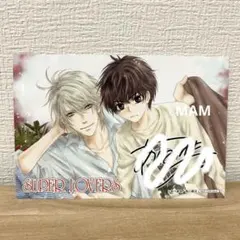 SUPERLOVERS 既刊 複製サイン入り イラストカード 特典 コンプリート