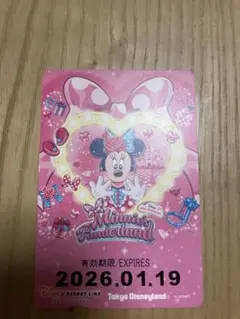 ミニーファンダーランド リゾートラインフリー切符