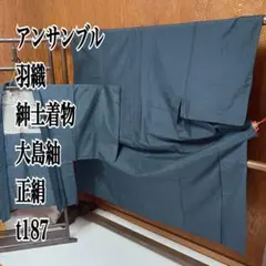 アンサンブル 羽織 紳士着物 大島紬 正絹 t187