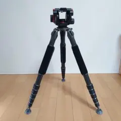 Item thumbnail for item e12d313c-a1e7-43d4-bfc0-4382b1dd4143