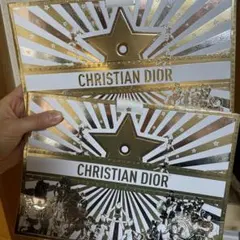 CHRISTIAN DIOR ショップ袋 2枚セット