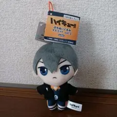 2026年最新】ハイキュー ぷちぬいぐるみマスコット vol.1の人気