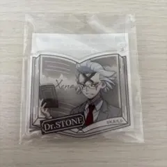 Dr.STONE オンラインくじ アクリルキーホルダー ゼノ BOOK型