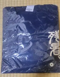 Item thumbnail for item 9c37c4f3-5449-48cb-9aaa-ff2dc038a002