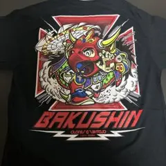BABYL THE RED MASS Ⅱ Tシャツ Lサイズ 赤ミサ BABYMETAL THE RED MASS Ⅱ Tシャツ Lサイズ 赤ミサ - メルカリ