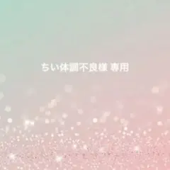 ちい体調不良様 専用