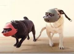 Item thumbnail for item 8ec36626-796e-474a-b0c0-58b93f837b14