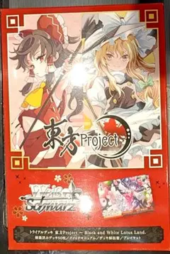 WS 東方Project トライアルデッキ 開封済み2個 TD ほぼ4コン ⑥ - メルカリ