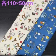 Item thumbnail for item 3c996df6-6859-4976-ab92-4253883d205f