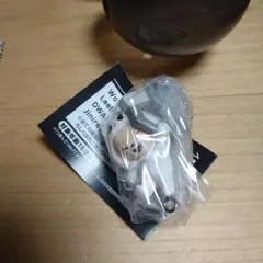 SKZOO つまんでつなげてマスコット　Foxi.Ny　Jiniret