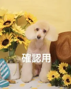 Item thumbnail for item 45158152-9328-4581-99b6-c200f88a4ef6