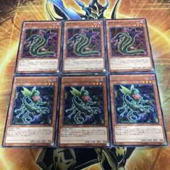 捕食植物オフリススコーピオ　ダーリングコブラ　各3枚