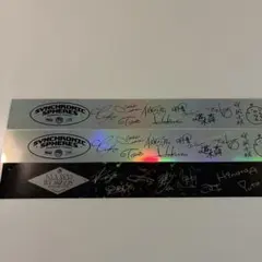 Item thumbnail for item 2ad96e1c-56b5-4b98-bad4-23daa866298b