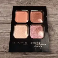 【匿名配送】　KATE ポッピングシルエットシャドウ EX-5