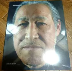 いれずみ 横濱初代彫光 刺青写真集 A4サイズ、208頁 外箱付き - メルカリ