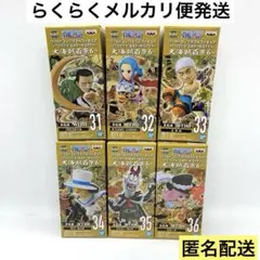 ワンピースワールドコレクタブルフィギュア記念 尾田栄一郎描き下ろし 大海賊百景6