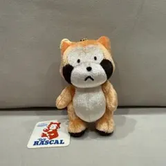 2026年最新】あらいぐまラスカル ぬいぐるみの人気アイテム - メルカリ