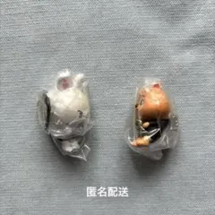 skzoo つまんでつなげてますこっと　リービット　ハンクォッカ　味噌セット