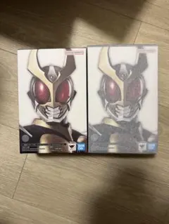 S.H.Figuarts 真骨彫　仮面ライダーアギト グランドフォーム　２個のサムネイル