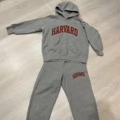 GU HARVARD スウェットセット グレー