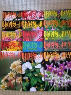 2025年最新】週刊朝日百科 世界の植物の人気アイテム - メルカリ