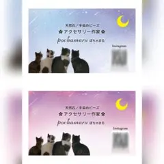 ぽちゃまる様専用ページ★ショップカード