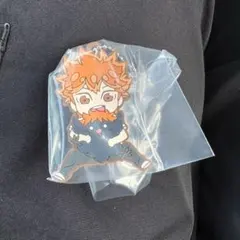 ハイキュー でふぉラバ 日向翔陽 影山飛雄