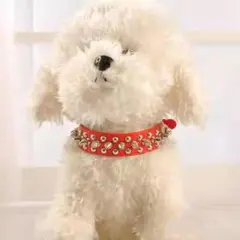 Item thumbnail for item 25dc371e-a626-42ef-a8da-28ad2080d4c6