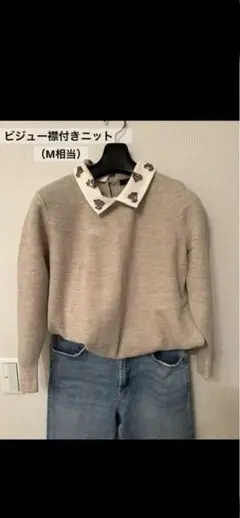 ビジュー襟付きニット（j.crew、M相当）