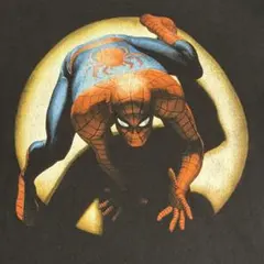1999 フロリダ限定 スパイダーマン・ザ・ライドTシャツ VINTAGE - メルカリ