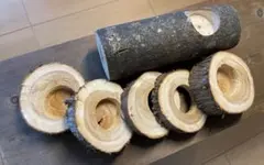 Item thumbnail for item a5f1a2f2-5991-4349-809b-a08082d39b1b