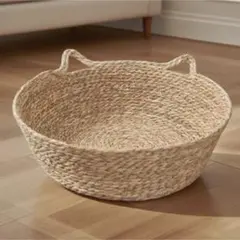 Item thumbnail for item ac0b2d38-29c0-46e6-96a4-df174d62b872