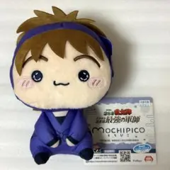 劇場版 忍たま乱太郎 ドクタケ忍者隊最強の軍師 もちぴこぬいぐるみ 不破雷蔵 六